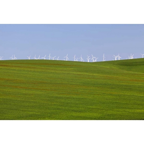 OR, Wasco Wind turbines on verdant farm field
